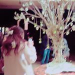 12317437_840155962767806_429465771_a