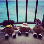 11055600_930107037020986_975257077_a