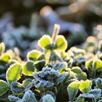 12338932_991035430953408_1162444898_a