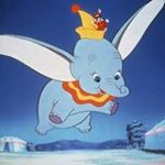 12523795_794491107344462_655396869_a