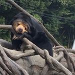 12424500_798156440313207_170180529_a