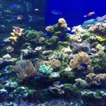 12346061_820443278065835_220007929_a