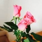 10475002_689244544462941_376340675_a