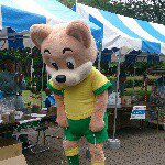 11325991_1412231815766958_1273821484_a