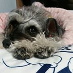 12519201_1003818206347621_2102887718_a