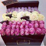 11856746_161760067488617_1853322612_a