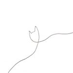 12558509_966462286741089_1224812088_a