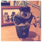 11931173_1604907073105100_328689292_a