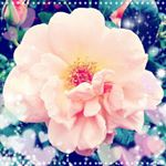 11917991_1592552751010525_265114261_a