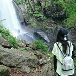 12331669_439830996215698_454716935_a