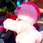 10963862_1550095728588905_1764605816_a