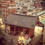 11385168_1173961242633491_649746874_a