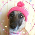 12357668_133463903692801_2111603134_a