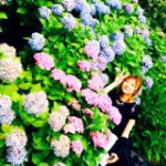 11357490_1591326167809838_1114825779_a