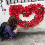 11875321_1699018260334881_639470226_a