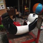 11349421_1474258466210179_537366025_a