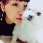 12383260_1535463226773373_1748282022_a