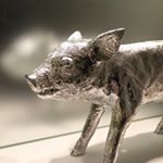 12568268_1666360816937096_1959417348_a