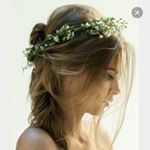 11372178_488425407993512_437006179_a