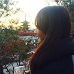 12357897_1539356889715597_436527824_a