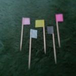 12446108_944592372256706_675514924_a