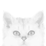 1173142_388540821316478_1279964567_a