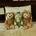 11007808_1568687433390040_1113830410_a