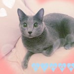 11084791_1421302098174906_1341412385_a