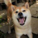 11849972_1620558854882593_1887087699_a