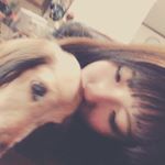 12552447_163220550715581_1386292523_a