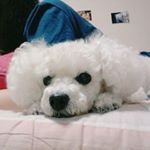 12317396_871687172946104_545817014_a