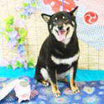 11417415_512186658955008_106967453_a