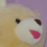 11257807_856678217738627_2036263476_a