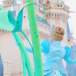 12237577_971227112915379_561063691_a