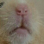 10514008_737852332920424_49989181_a