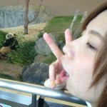 10508069_897306140284892_657036196_a