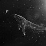 12357853_874365306009573_1125776445_a