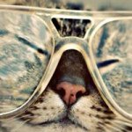 10643987_755138824524703_723096755_a