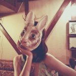 11334605_1655805657982437_306557205_a