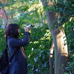 12292630_858313630949127_497680420_a