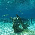 1516426_766469383458320_1575715544_a