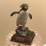 11352005_501334736694683_1511204046_a