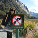 12362614_648723671937295_185334155_a