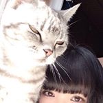 12547556_229556754048379_884069813_a