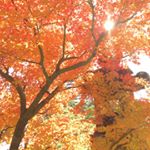 1517371_1680254148919228_1173665820_a