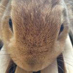 10467738_930507273665413_126833140_a