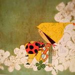 12269721_899007843510597_395682974_a