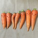 11418999_972344342788564_1410944169_a