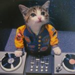 11191284_1589388484660137_896892973_a