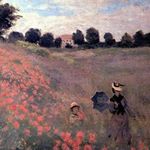 12534528_1764320657129854_898372989_a